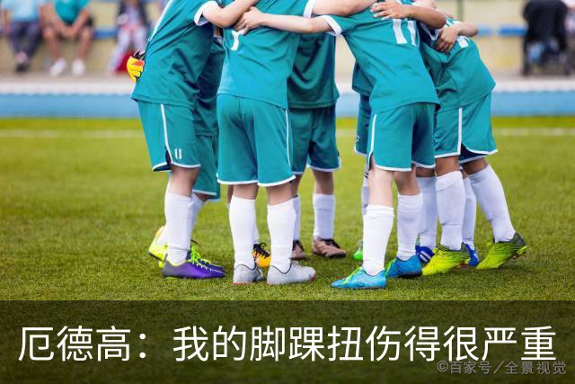 厄德高：我的脚踝扭伤得很严重