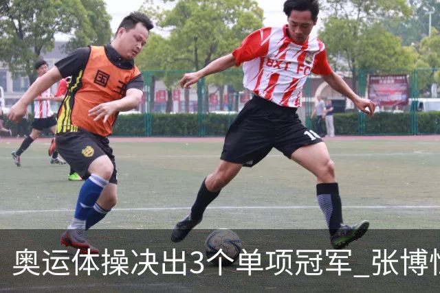 奥运体操决出3个单项冠军 张博恒自由操排名第八