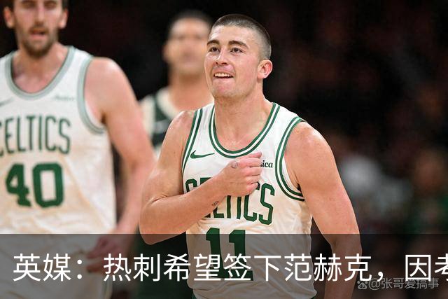 英媒：热刺希望签下范赫克，因考虑其与德泽尔比交情