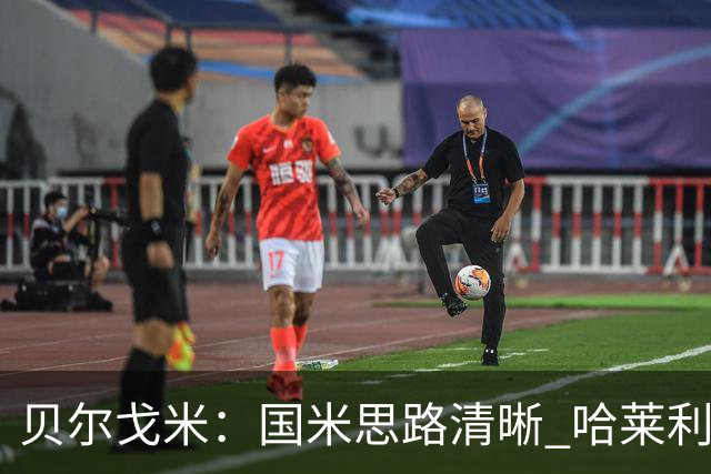 贝尔戈米：国米思路清晰 哈莱利就像阿什拉夫 防线引援选卢库米